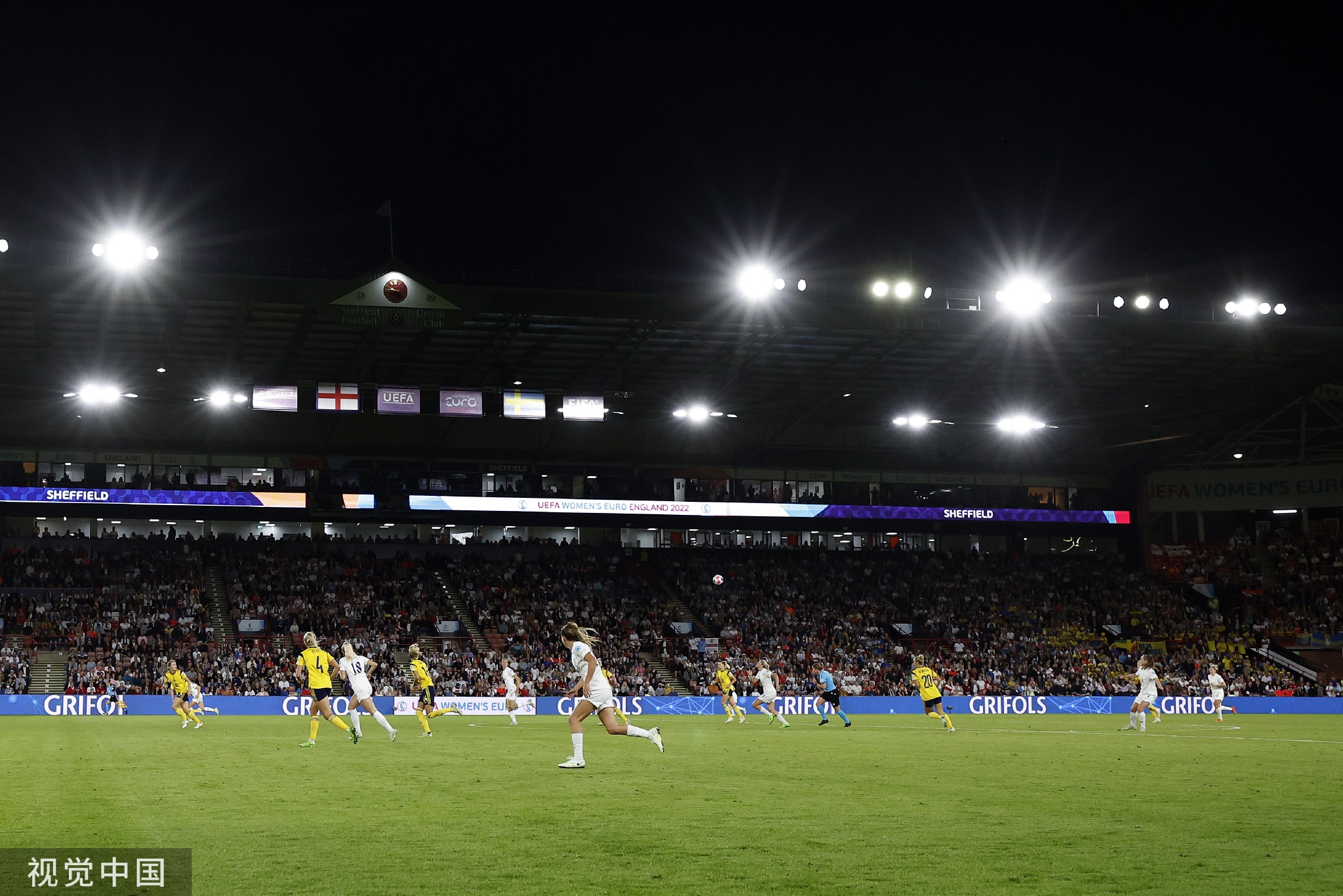 的情感并未 的情感并未